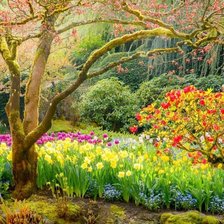 Схема вышивки «красивый пейзаж»