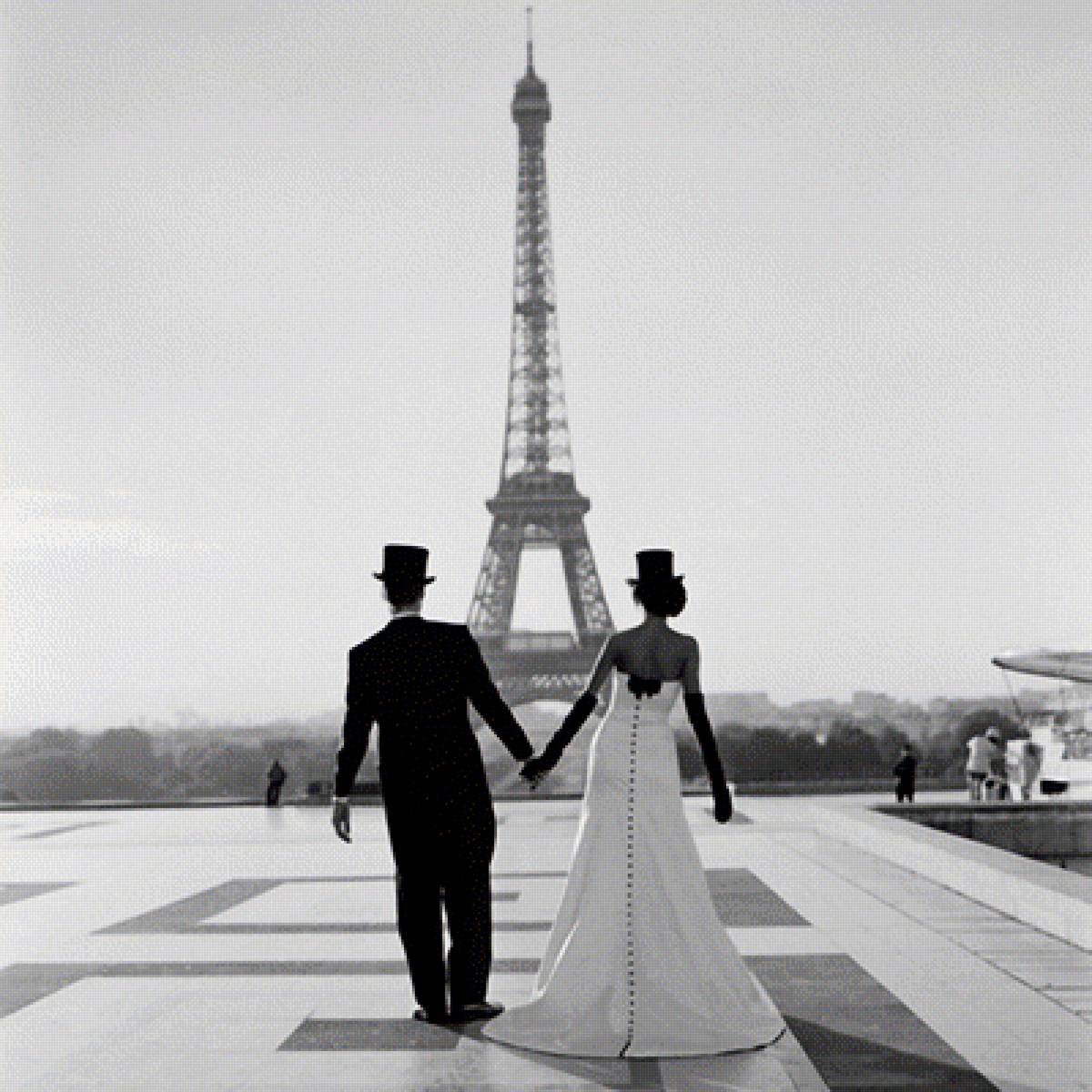 свадьба в Париже монохром - пара, любовь, свадьба, монохром, париж - предпросмотр