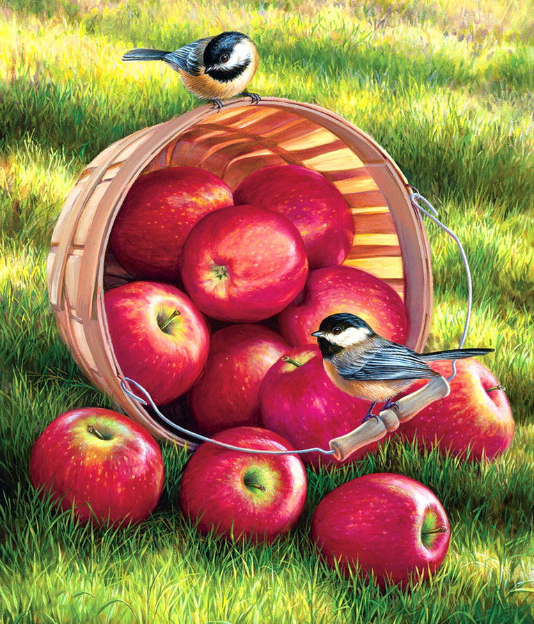 урожай яблок - пейзаж, природа, яблоки, птицы - оригинал