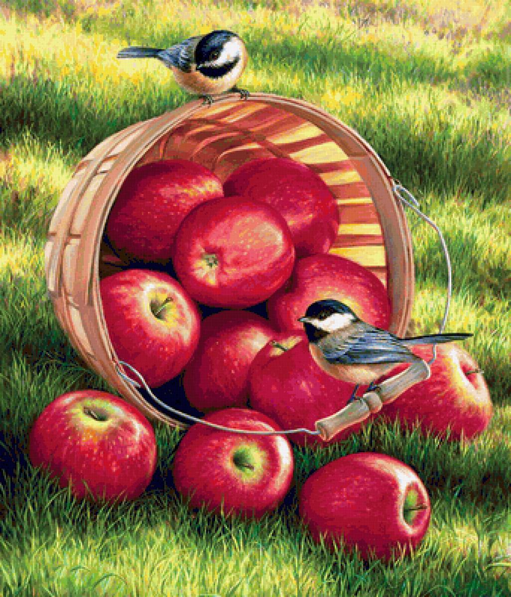 урожай яблок - пейзаж, птицы, яблоки, природа - предпросмотр