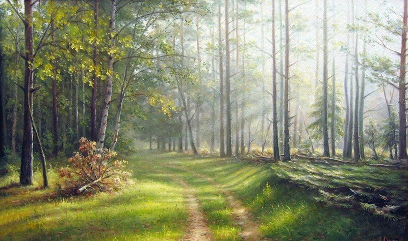 №1253716 - лес, природа, пейзаж - оригинал