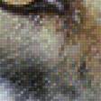Предпросмотр схемы вышивки «Волк» (№1253748)