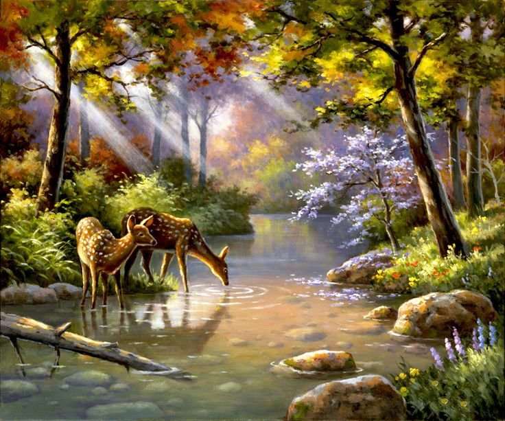 красота природы - лето, животные, природа, речка, сунг ким, деревья, пейзаж, красота - оригинал