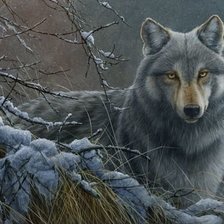 Схема вышивки «Волк»