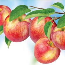 Схема вышивки «№1254171»