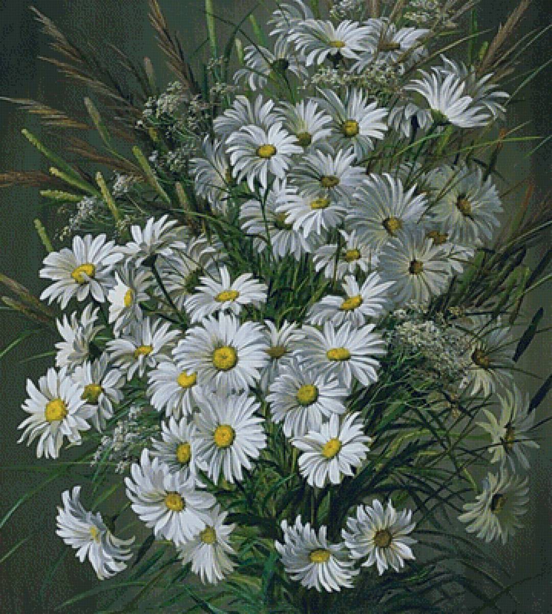 ромашки - ромашки букет - предпросмотр