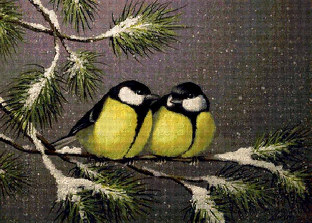 синички на сосне - предпросмотр