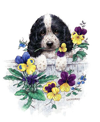 №1254735 - животные - оригинал