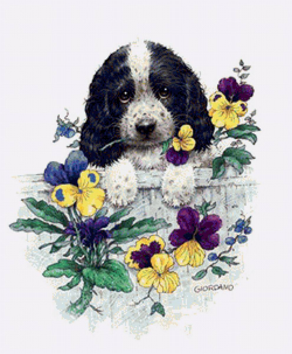 №1254735 - животные - предпросмотр