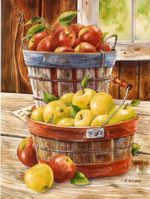 яблоки - фрукты, яблоки - оригинал