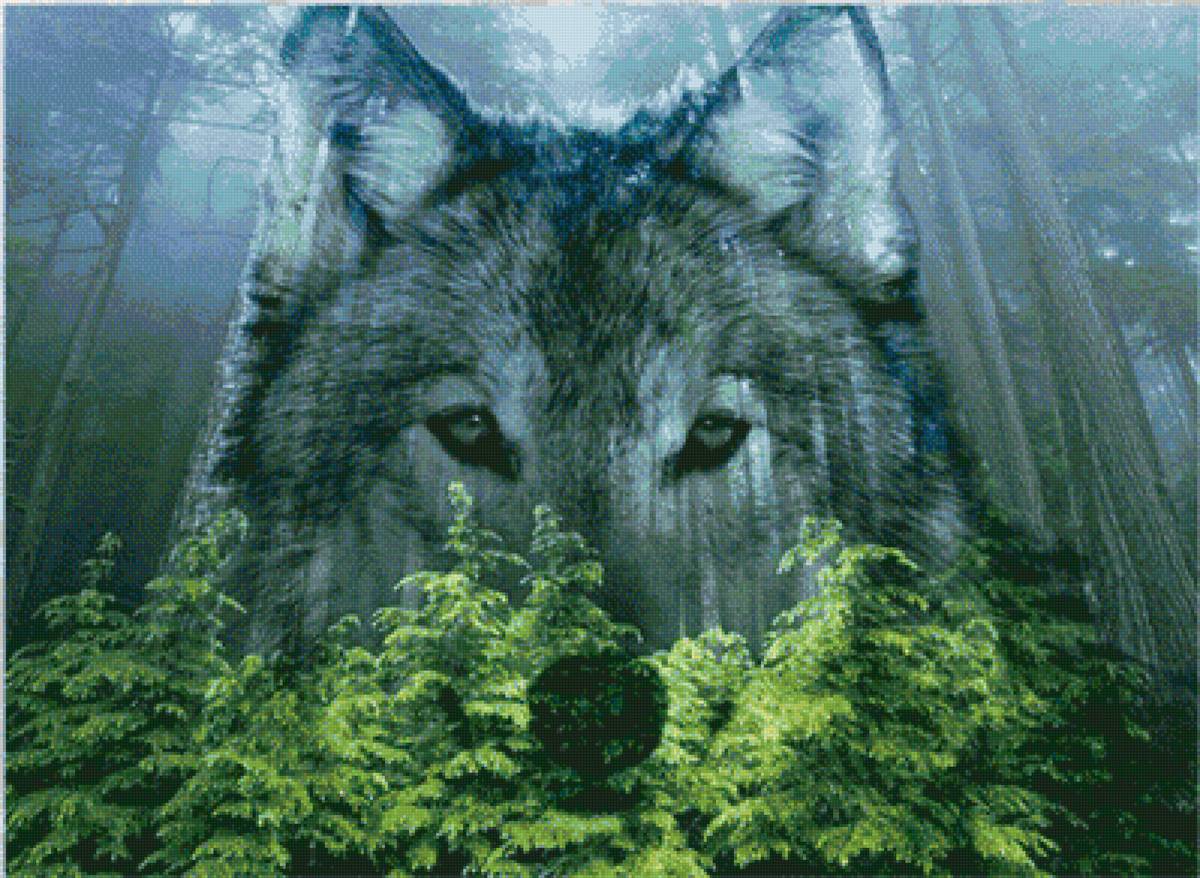 Волк в лесу - лес, волки, животные, природа - предпросмотр