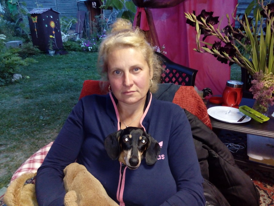 Мои девченки - оригинал