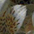 Предпросмотр схемы вышивки «букет» (№1255818)