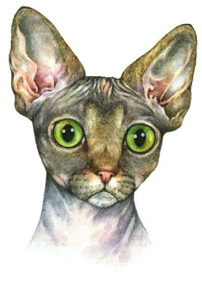 sfinks - оригинал