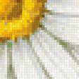 Предпросмотр схемы вышивки «РОМАШКА1» (№1256451)