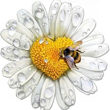 Схема вышивки «ПЧЁЛКА НА РОМАШКЕ»