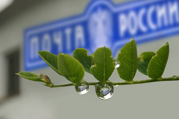 Почта России - логотипы, пейзаж - оригинал