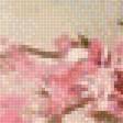 Предпросмотр схемы вышивки «Ветка сакуры» (№1256528)