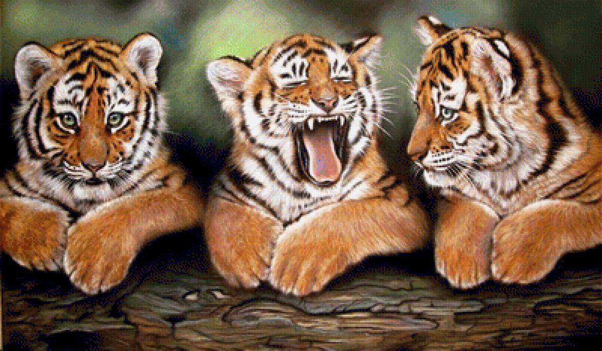 Тигрята - дикие кошки, тигр, тигренок, животные - предпросмотр