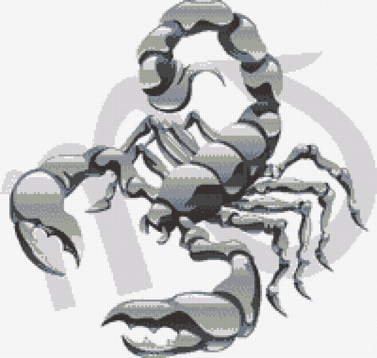 скорпион - скорпион гороскоп - предпросмотр