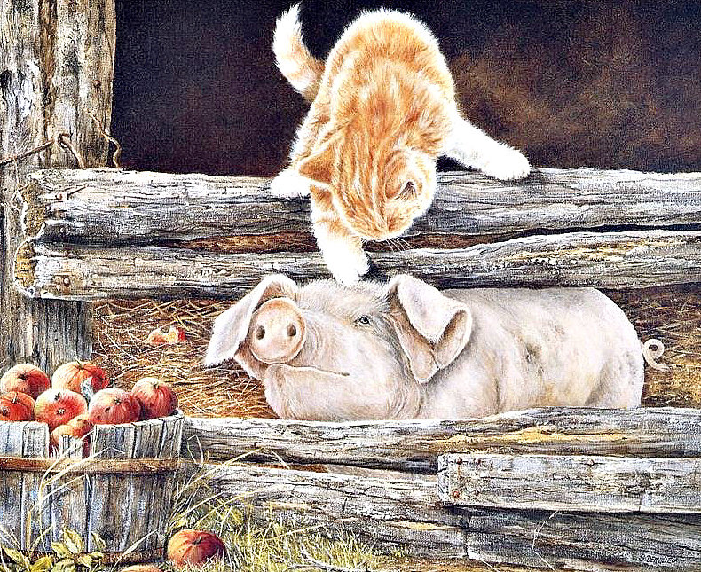 №1257096 - оригинал