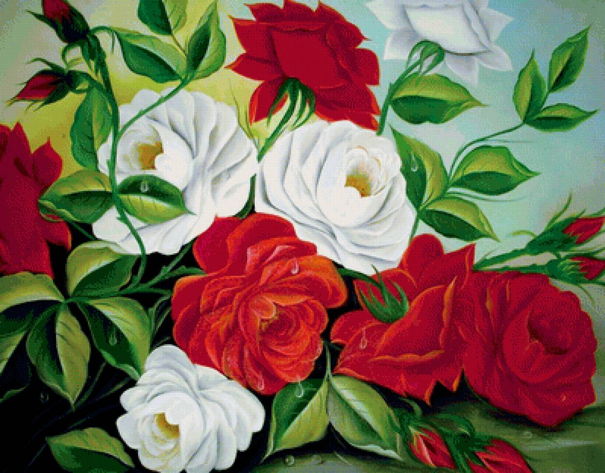 Розы - цветы, букет, роза, цветок - предпросмотр