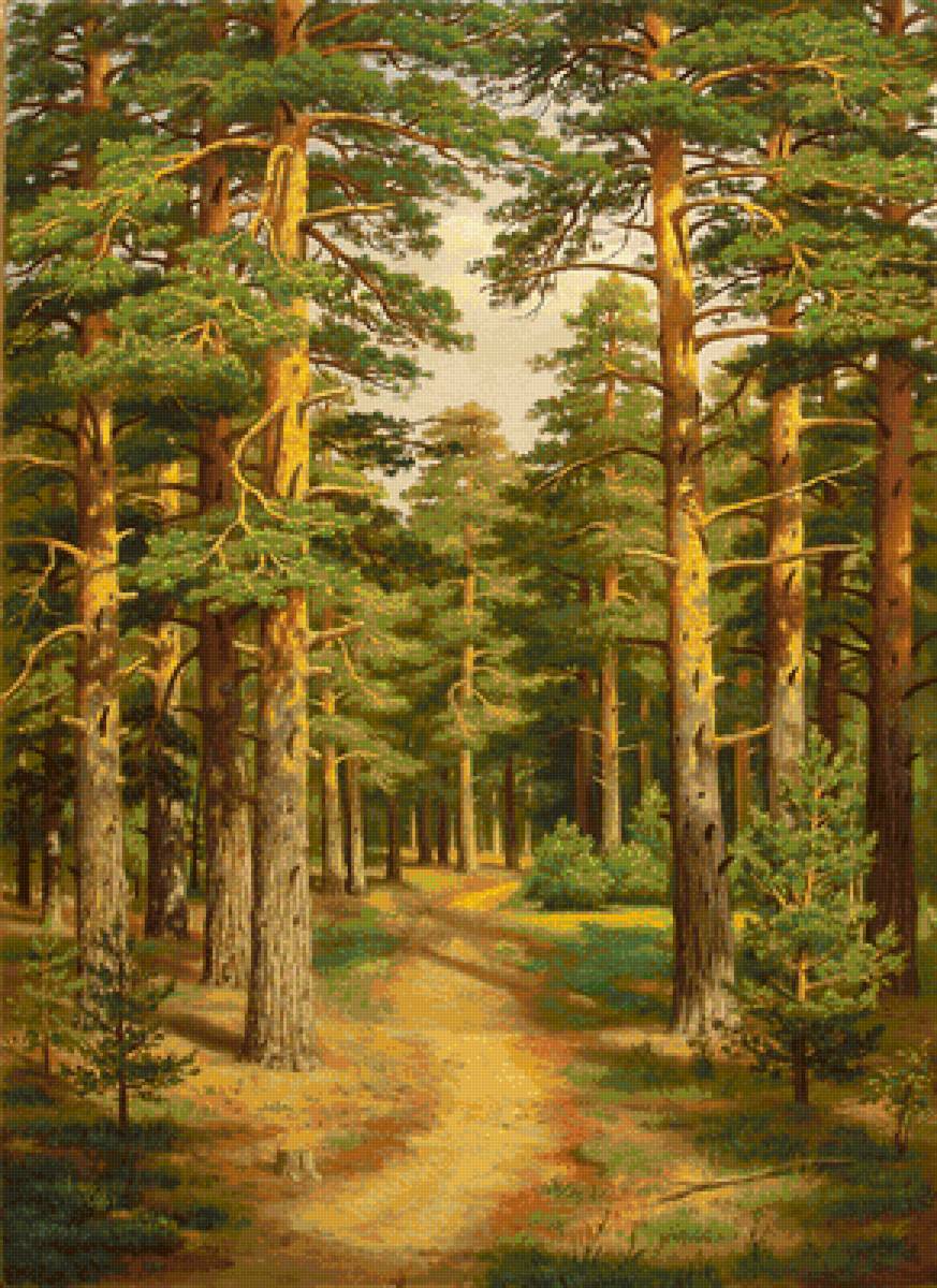 Сосновый бор - лес, сосны, природа - предпросмотр