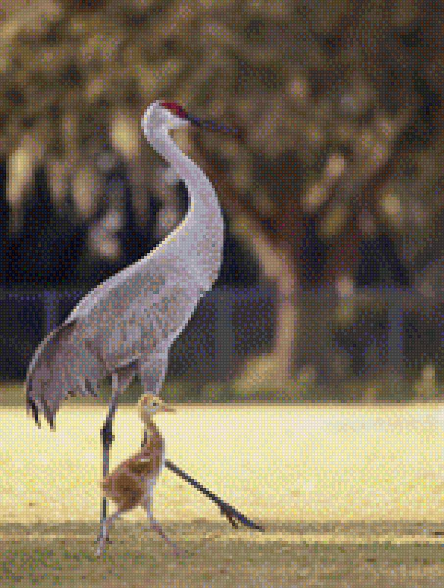 Журавли - вместе, птицы, мама, семья - предпросмотр