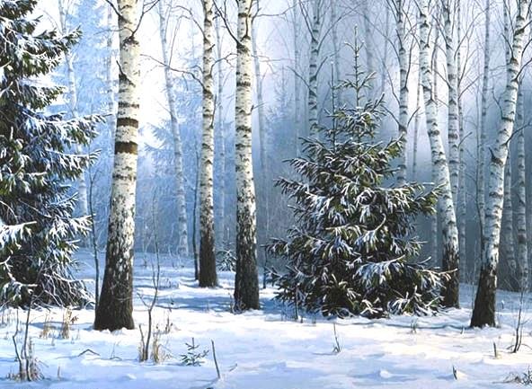 Серия "Зима пришла" - зима, снег, лес, березовая роща - оригинал