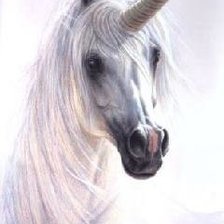 Схема вышивки «белый единорог»