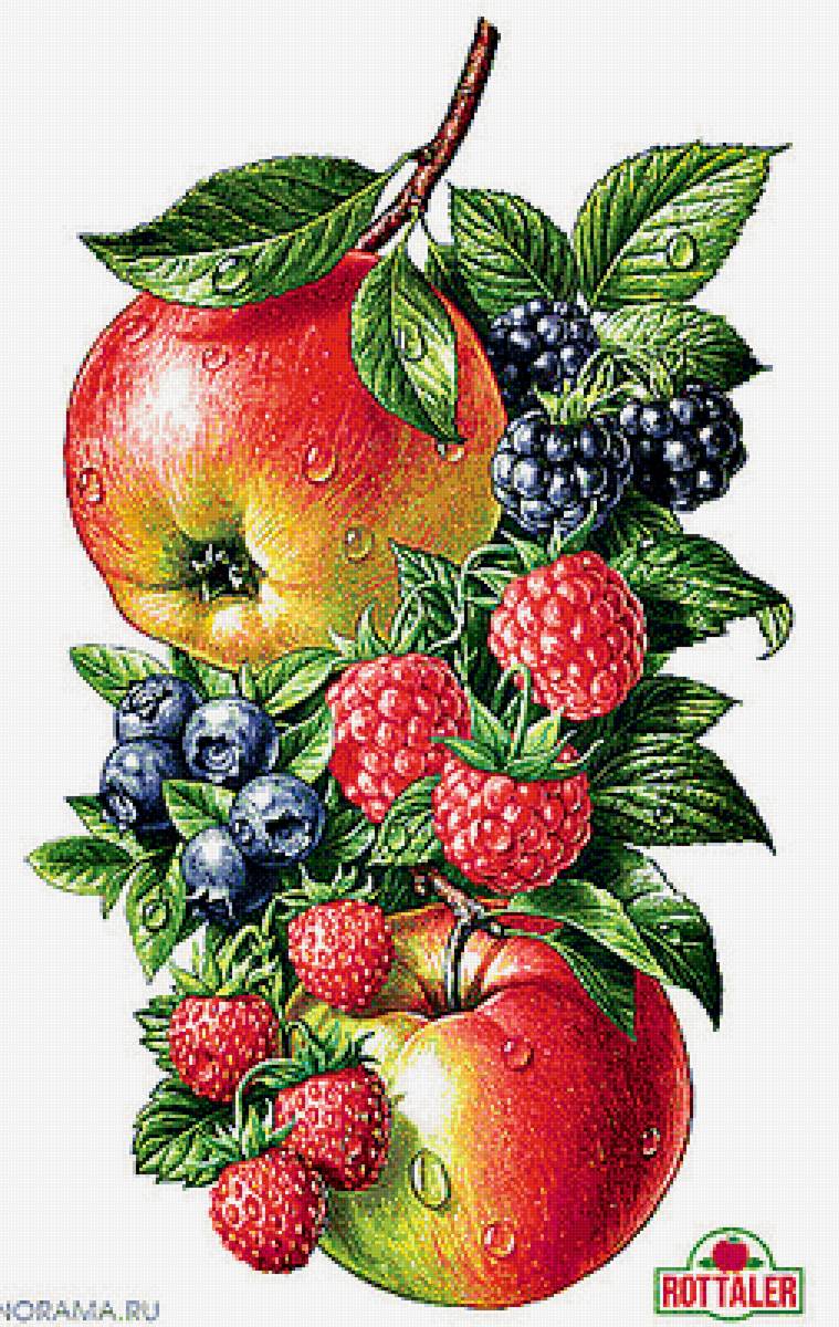 фрукты - фрукты. кухня - предпросмотр