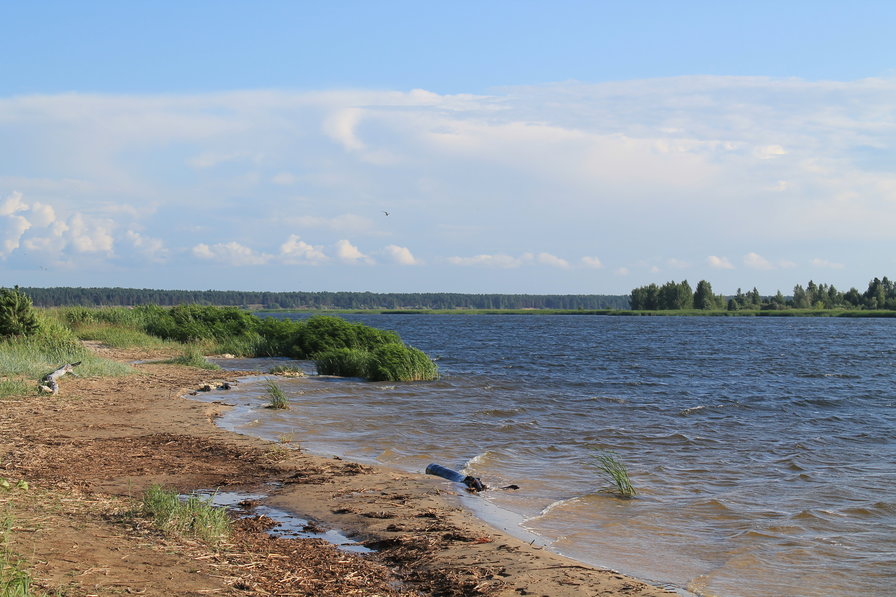 Лиелупе - пейзаж, река, рига - оригинал