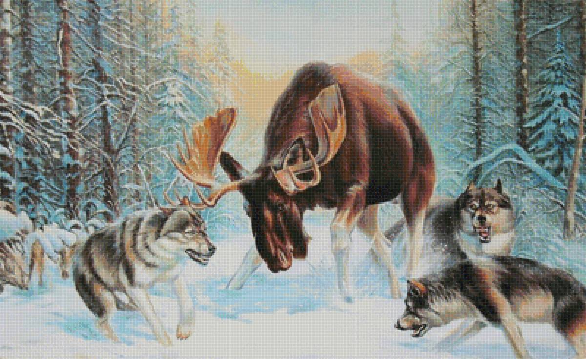 Лось против волков - животные - предпросмотр