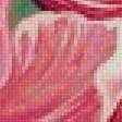 Предпросмотр схемы вышивки «розовые цветы» (№1259313)