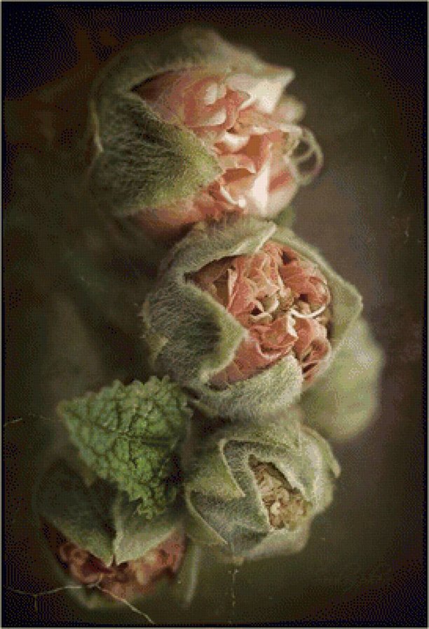 cuarteto 2 - оригинал