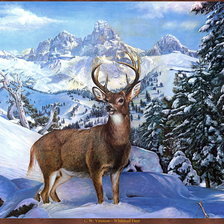 Схема вышивки «№1259608»