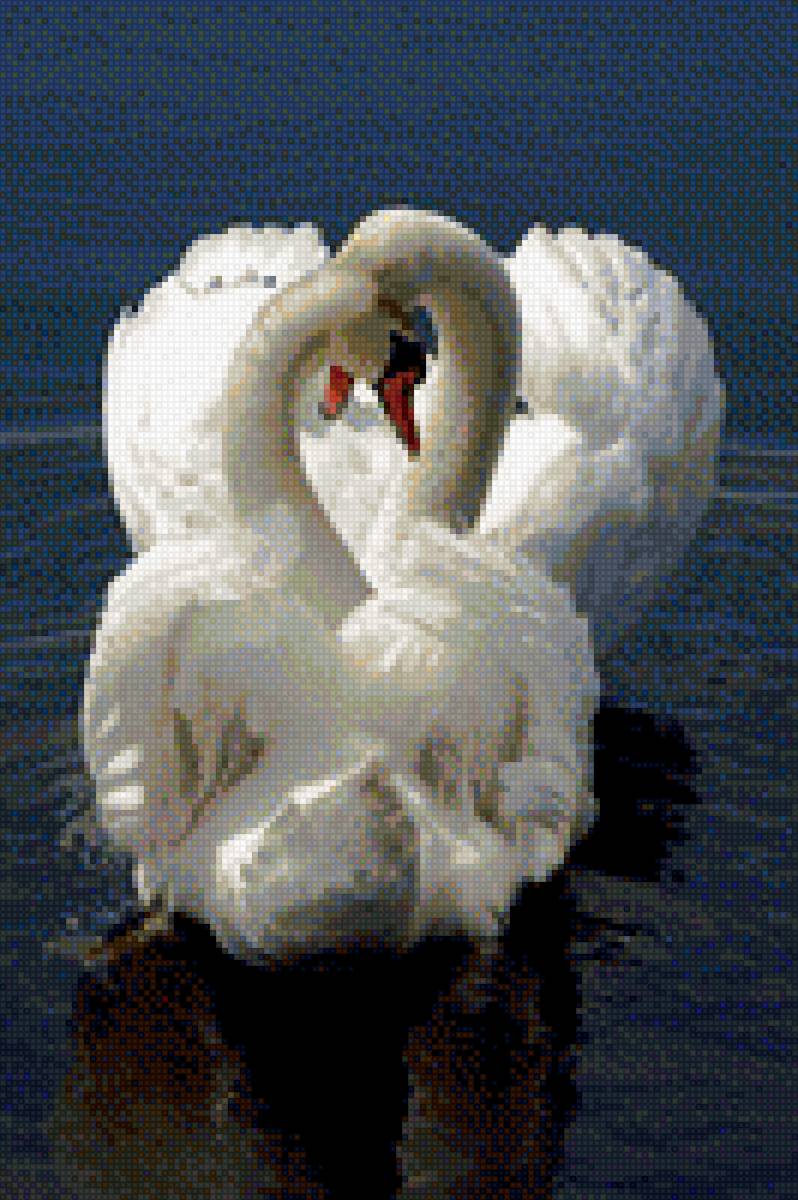 лебеди - семья, любовь - предпросмотр