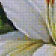 Предпросмотр схемы вышивки «белые лилии» (№1260494)