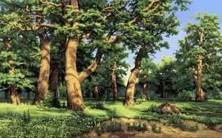 №1260638 - оригинал