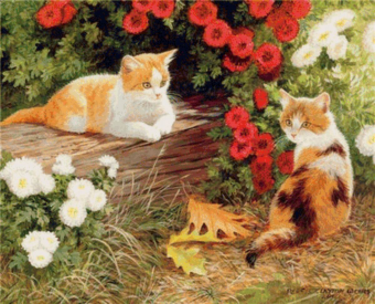 Пара - кошка, коты, животные, цветы, кот - предпросмотр