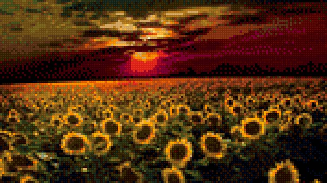 закат, поле пацолнухов - пейзаж, природа, закат, цветы - предпросмотр