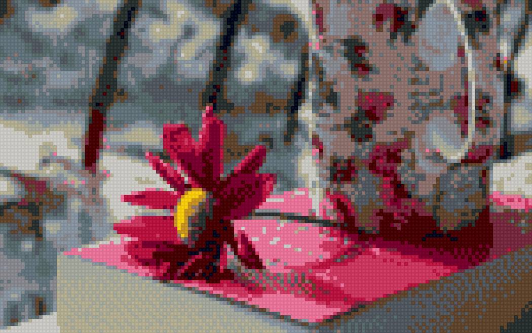 приятное утро, розовая ромашка - ромашка, цветы, утро - предпросмотр