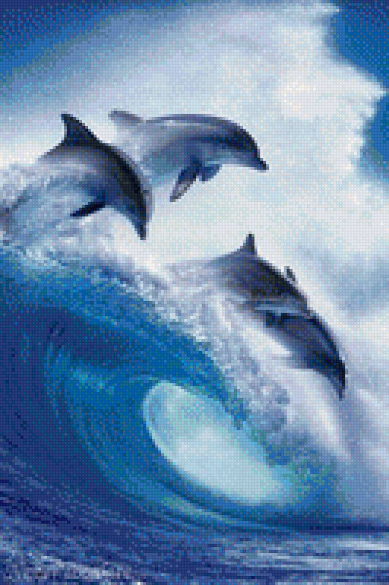 дельфины - море - предпросмотр