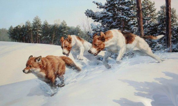Охота на лис - лиса, собаки, зима, охота - оригинал