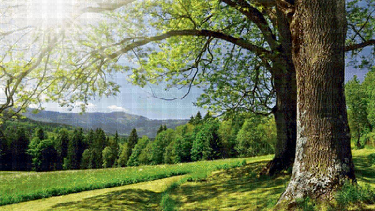 №1262540 - природа - предпросмотр