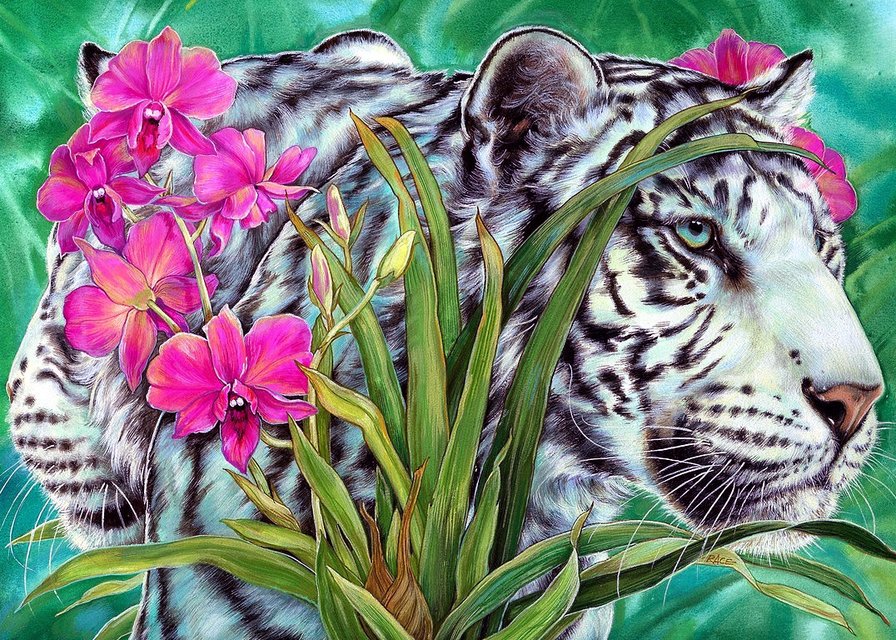 хозяин джунглей - тигры, орхидея, тигр, хищники, пара, розовые цветы, белый тигр - оригинал