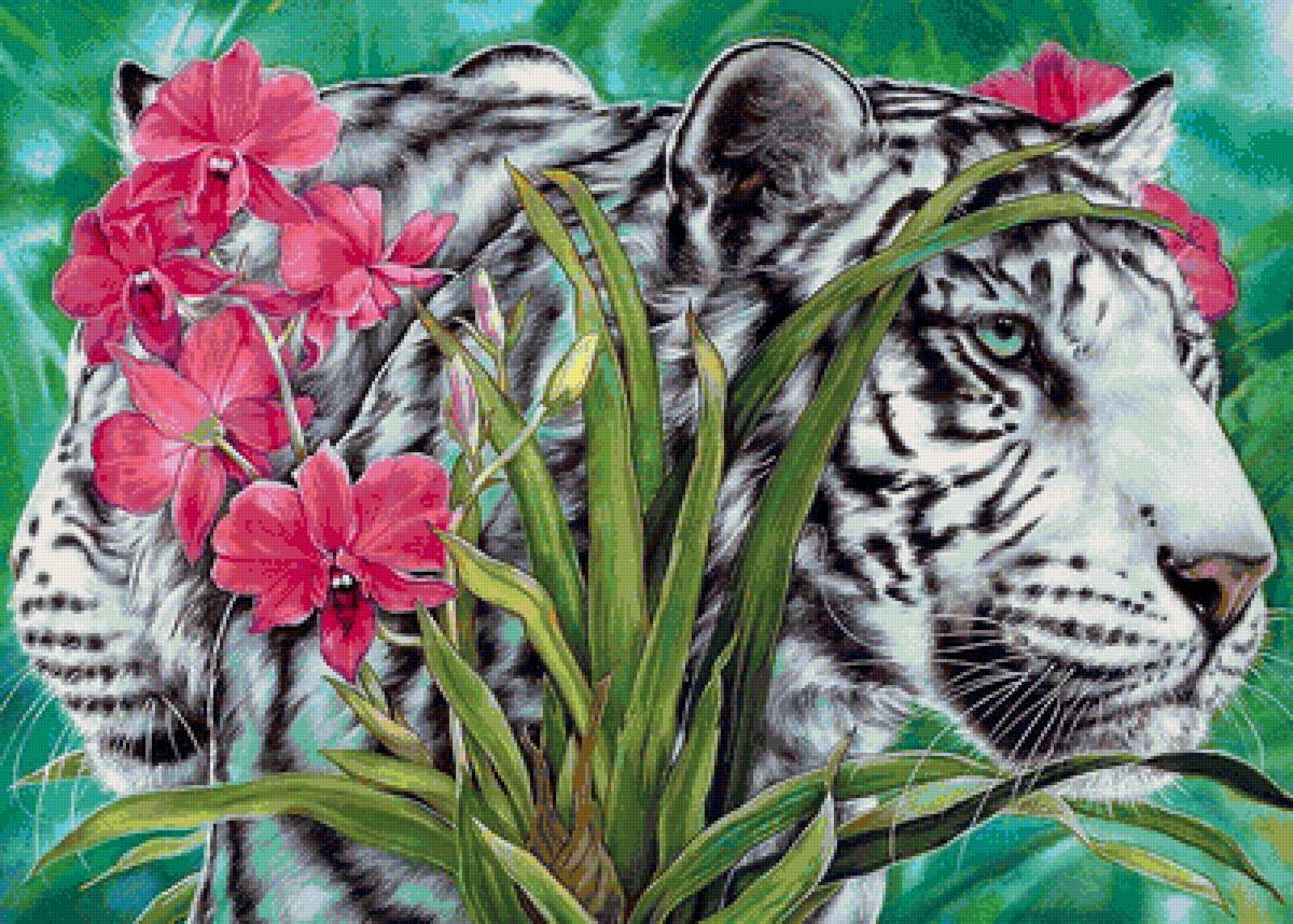 хозяин джунглей - розовые цветы, пара, хищники, тигры, белый тигр, тигр, орхидея - предпросмотр