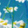Предпросмотр схемы вышивки «Ромашки на фоне неба» (№1263249)
