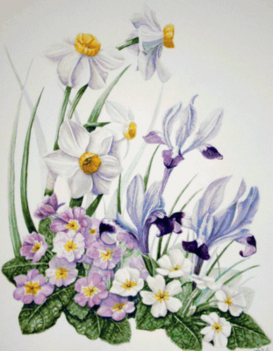 №1263493 - предпросмотр