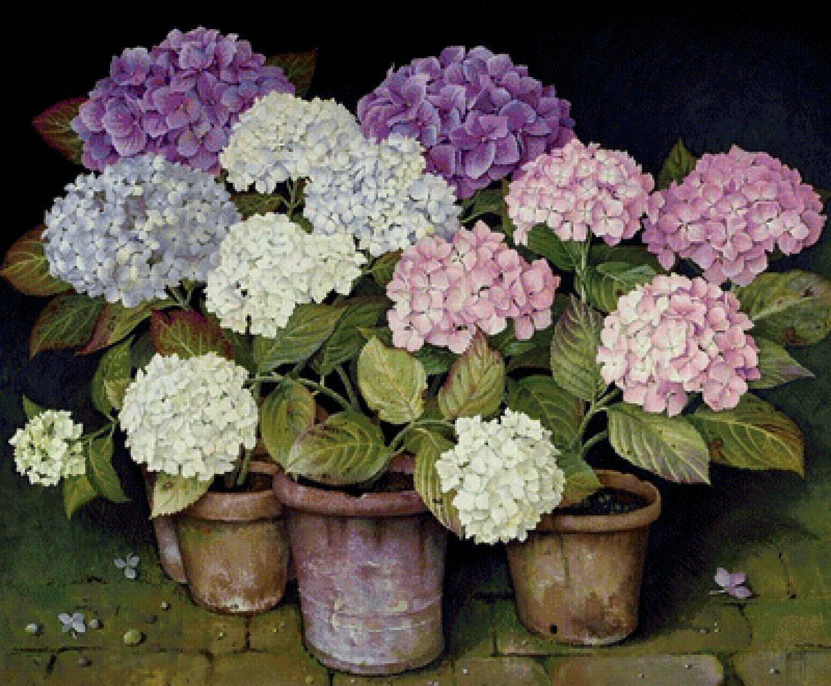 №1263498 - предпросмотр